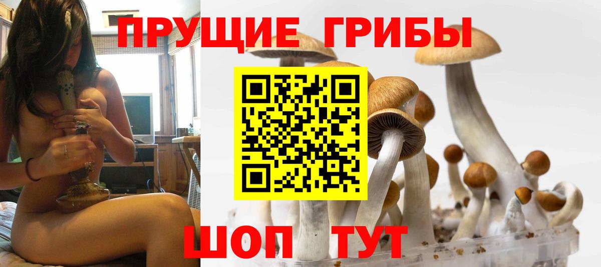 Псилоцибиновые грибы Magic Shrooms  Вход с VPN  Узловая 